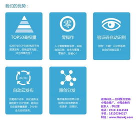 政偉科技 湖北網絡營銷的在線學習與咨詢指南