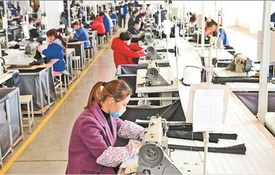 新平縣復(fù)工達產(chǎn)有序推進 全縣31戶規(guī)模以上企業(yè)全部復(fù)工